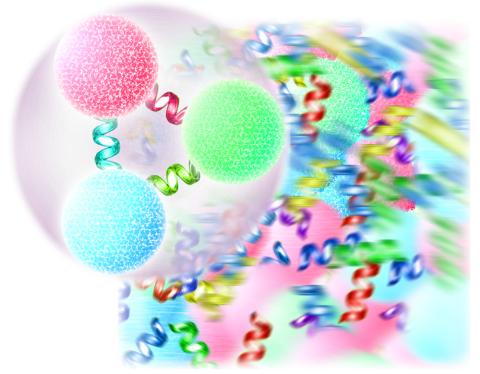 Gluon Quark Plasma