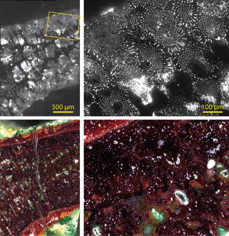 A comparison of high spatial dynamics photoluminescence and optical microscopy images. © T. SEVERIN-FABIANI / M. THOURY / L. BERTRAND / B. MILLE / IPANEMA CNRS MCC UVSQ / Synchrotron SOLEIL / C2RMF CNRS Photothèque.