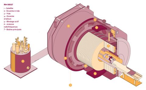 Rendre visibles les pathologies mentales, un défi de l’IRM