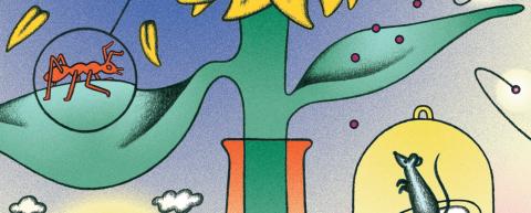Illustration extraite du numéro 23 de L'Edition