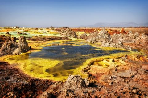 Dalloz Danakil Origin of life