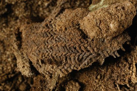 Textile retrouvé sur un site de l'âge du fer aux Pays-Bas.