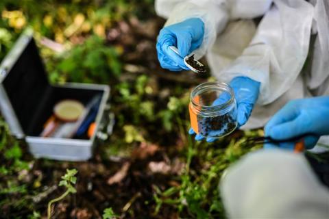scientifiques examinants des échantillons de terre 